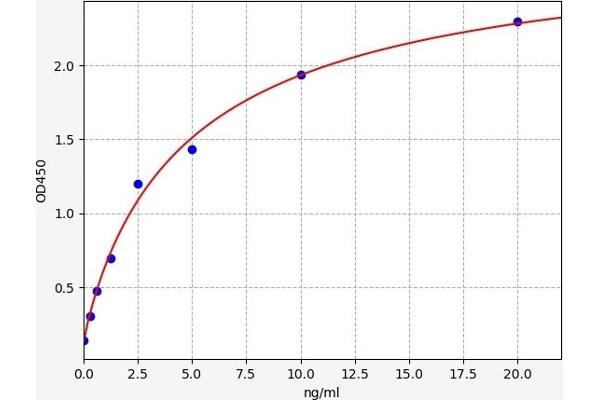 TACR1 ELISA Kit