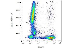 Flow cytometry analysis of human peripheral blood  stained with CRIS1 antibody PE. (CD5 Antikörper  (PE))