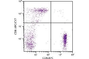 Human peripheral blood lymphocytes were stained with Mouse Anti-Human CD8-APC/CY7. (CD8 Antikörper  (APC-Cy7))