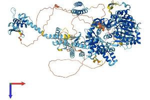 DHX29 Protein (AA 1-1365) (His tag)