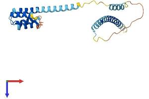 CCDC43 Protein (AA 1-224) (His tag)