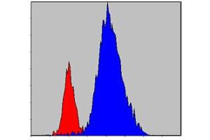 Flow cytometric analysis of HeLa cells using JAK3 monoclonal antibody, clone 5H2  (blue) and negative control (red) .