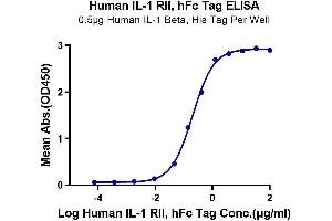 Immobilized Human IL-1 Beta, His Tag at 5 μg/mL (100 μL/Well) on the plate.