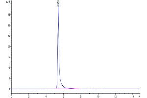 The purity of Human ITGA2&ITGB1 is greater than 95 % as determined by SEC-HPLC. (Integrin alpha 2 beta 1 (ITGA2 & ITGB1) Heterodimer (AA 30-1132) protein (His tag))