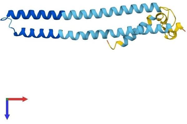 WRB Protein (AA 1-174) (His tag)