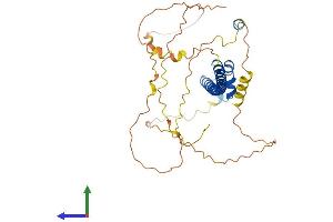 Protein Structure (PS) image for Transcription Factor MafA (MAFA) (AA 1-359) protein (His tag) (ABIN7559297)