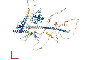 Protein Structure (PS) image for PHD Finger Protein 17 (PHF17) (AA 1-842) protein (His tag) (ABIN7554196)