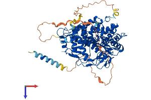EDEM1 Protein (AA 1-652) (His tag)