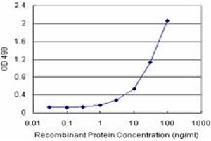 Sandwich ELISA detection sensitivity ranging from 1 ng/mL to 100 ng/mL.