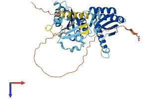 RRAGD Protein (AA 1-400) (His tag)