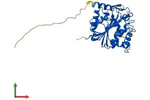 Protein Structure (PS) image for Phenylethanolamine N-Methyltransferase (PNMT) (AA 1-295) protein (His tag) (ABIN7563217)