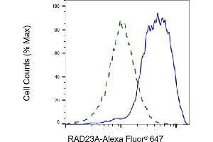 Validation of RAD23A knockdown using flow cytometry. (Rekombinanter RAD23A Antikörper)