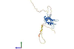 AlphaFold protein structure predicition of Human Recombinant RBPMS Protein, UniprotID Q93062