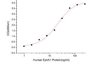 Activity Assay (AcA) image for Ephrin A1 (EFNA1) (AA 19-182) (Active) protein (His tag) (ABIN7607367)