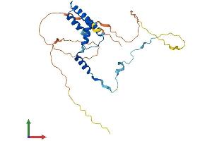 Protein Structure (PS) image for RNA Polymerase II TBP-Associated Factor Subunit G (TAF9) (AA 1-264) protein (His tag) (ABIN7544321)