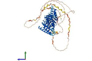 Protein Structure (PS) image for Importin 9 (IPO9) (AA 1-729) protein (His tag) (ABIN7555156)