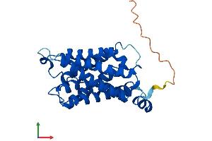 AlphaFold protein structure predicition of Human Recombinant MIP Protein, UniprotID P30301 (Mip (AA 1-263) protein (His tag))