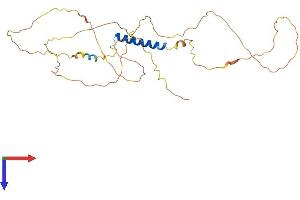 JSRP1 Protein (AA 1-331) (His tag)