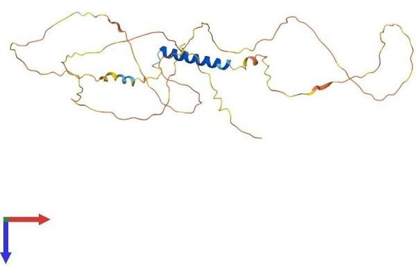 JSRP1 Protein (AA 1-331) (His tag)