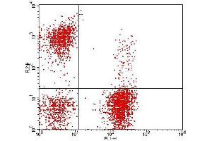 Flow Cytometry (FACS) image for anti-CD3, CD16&56 antibody (FITC,PE) (ABIN2144408) (CD3, CD16&56 Antikörper (FITC,PE))