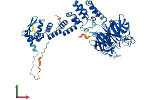 Protein Structure (PS) image for Kelch-Like 24 (KLHL24) (AA 1-600) protein (His tag) (ABIN7548744)