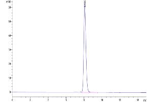 The purity of Cynomolgus Nectin-4 is greater than 95 % as determined by SEC-HPLC. (PVRL4 Protein (His tag))