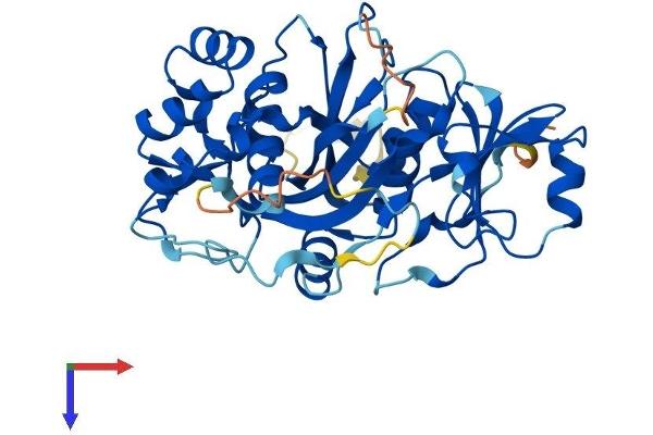 NUDT19 Protein (AA 1-375) (His tag)