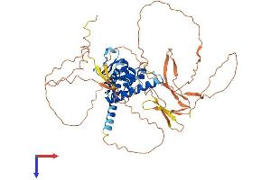 BANP Protein (AA 1-519) (His tag)