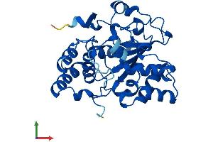 Protein Structure (PS) image for Sulfotransferase Family 3A, Member 1 (SULT3A1) (AA 1-293) protein (His tag) (ABIN7562313)