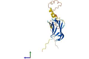 Protein Structure (PS) image for Crystallin, alpha A (CRYAA) (AA 1-196) protein (His tag) (ABIN7563001)