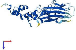 FBXO44 Protein (AA 1-255) (His tag)