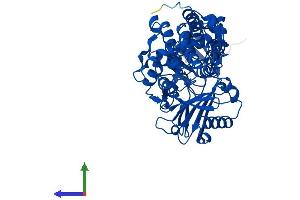 Protein Structure (PS) image for Monoamine Oxidase A (MAOA) (AA 1-527) protein (His tag) (ABIN7552191)