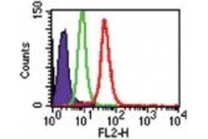Image no. 1 for anti-Toll-Like Receptor 8 (TLR8) (AA 750-850) antibody (PE) (ABIN959905) (TLR8 Antikörper  (AA 750-850) (PE))