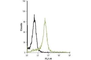 Flow Cytometry (FACS) image for anti-Coagulation Factor II (Thrombin) Receptor-Like 3 (F2RL3) (AA 136-150), (C149S), (Extracellular) antibody (FITC) (ABIN7043078)