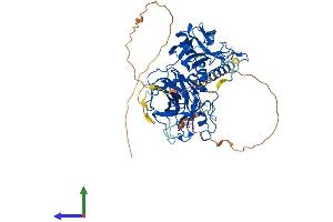 Protein Structure (PS) image for Transmembrane Protease, Serine 13 (TMPRSS13) (AA 1-543) protein (His tag) (ABIN7557556)