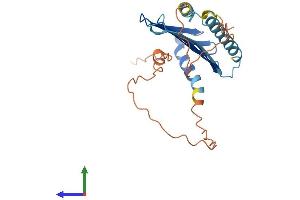 Protein Structure (PS) image for Myeloid Leukemia Factor 1 (MLF1) (AA 1-267) protein (His tag) (ABIN7561736)