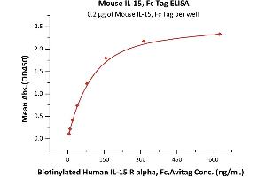 Immobilized Mouse IL-15, Fc Tag (ABIN6810037,ABIN6938879) at 2 μg/mL (100 μL/well) can bind Biotinylated Human IL-15 R alpha, Fc,Avitag (ABIN6731258,ABIN6809875) with a linear range of 10-156 ng/mL (QC tested). (IL-15 Protein (AA 49-162) (Fc Tag))