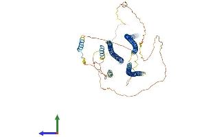 AlphaFold protein structure predicition of Mouse Recombinant Shtn1 Protein, UniprotID Q8K2Q9 (Shootin-1 (SHTN1) (AA 1-631) protein (His tag))