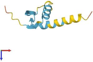 GTF2H5 Protein (AA 1-71) (Fc Tag)