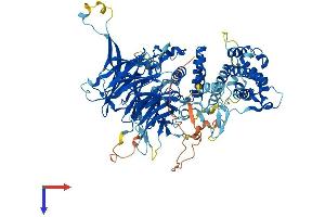 MED16 Protein (AA 1-877) (His tag)