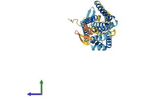 Protein Structure (PS) image for G Protein-Coupled Receptor 160 (GPR160) (AA 1-336) protein (His tag) (ABIN7557142)