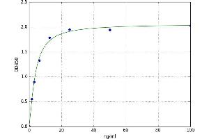 CD5 Molecule-Like (CD5L) ELISA Kit