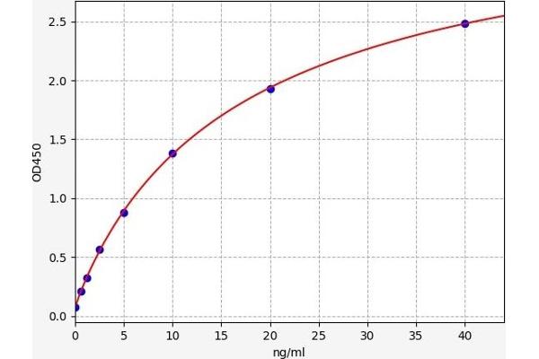 IRS2 ELISA Kit