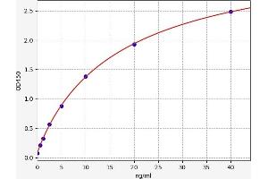 Typical standard curve (IRS2 ELISA Kit)