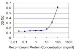 Detection limit for recombinant GST tagged HOXB9 is 3 ng/ml as a capture antibody. (HOXB9 Antikörper  (AA 65-163))