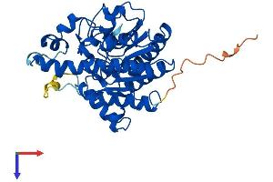 HDAC11 Protein (AA 1-347) (His tag)