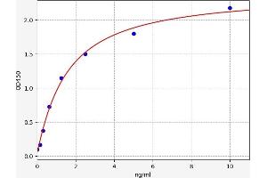 COL-13 ELISA Kit