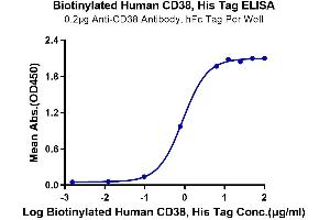 ELISA image for CD38 (AA 43-300) protein (His-Avi Tag,Biotin) (ABIN7274143)