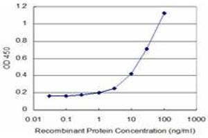 Detection limit for recombinant GST tagged LHX5 is approximately 1ng/ml as a capture antibody. (LHX5 Antikörper  (AA 114-182))