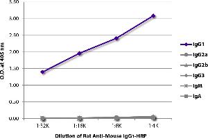 ELISA plate was coated with purified mouse IgG1, IgG2a, IgG2b, IgG3, IgM, and IgA. (Ratte anti-Maus IgG1 Antikörper (HRP))